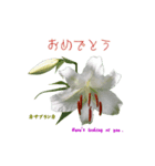 花を添えて 4（個別スタンプ：10）