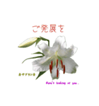 花を添えて 4（個別スタンプ：12）