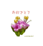 花を添えて 4（個別スタンプ：18）