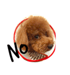 love Cooper（個別スタンプ：3）