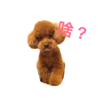 love Cooper（個別スタンプ：5）