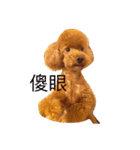 love Cooper（個別スタンプ：7）