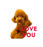 love Cooper（個別スタンプ：10）
