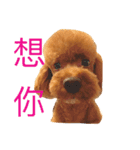 love Cooper（個別スタンプ：12）
