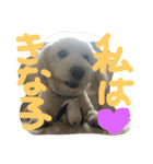 きな子のきもち（個別スタンプ：1）