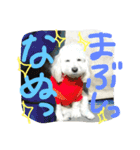 きな子のきもち（個別スタンプ：4）