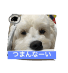 きな子のきもち（個別スタンプ：9）