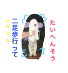 きな子のきもち（個別スタンプ：11）
