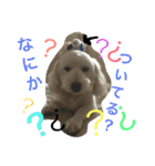 きな子のきもち（個別スタンプ：14）