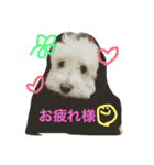 きな子のきもち（個別スタンプ：15）