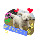 きな子のきもち（個別スタンプ：16）