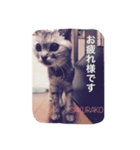 直線番長専用（個別スタンプ：1）