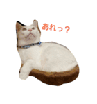 Leolove（個別スタンプ：7）