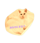 Leolove（個別スタンプ：9）