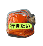 まるたまスタンプ（個別スタンプ：20）