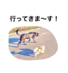 PETS！ ver.2（個別スタンプ：5）