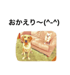 PETS！ ver.2（個別スタンプ：6）