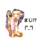 PETS！ ver.2（個別スタンプ：10）