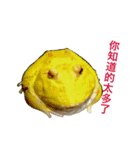 frog fat（個別スタンプ：3）
