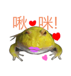 frog fat（個別スタンプ：5）