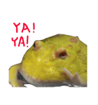 frog fat（個別スタンプ：7）