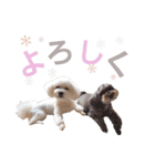 もかむく。（個別スタンプ：1）