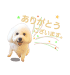 もかむく。（個別スタンプ：3）