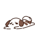 Cookie the Shi tzu（個別スタンプ：1）