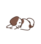 Cookie the Shi tzu（個別スタンプ：3）