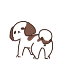 Cookie the Shi tzu（個別スタンプ：5）