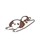 Cookie the Shi tzu（個別スタンプ：7）