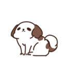 Cookie the Shi tzu（個別スタンプ：9）