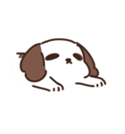 Cookie the Shi tzu（個別スタンプ：27）