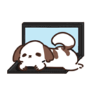 Cookie the Shi tzu（個別スタンプ：34）