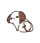 Cookie the Shi tzu（個別スタンプ：36）