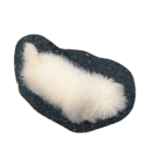 ボロニーズ犬のベルニーニ4（個別スタンプ：12）