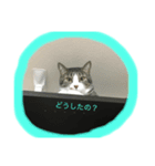もなか1（個別スタンプ：2）