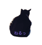 Languid cat now2（個別スタンプ：6）