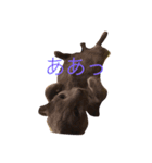 Languid cat now2（個別スタンプ：7）