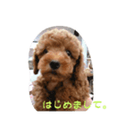 さくら餅の毎日 2（個別スタンプ：3）