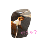 さくら餅の毎日 2（個別スタンプ：4）