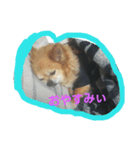 loco＆cojyu（個別スタンプ：7）