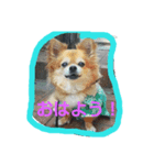 loco＆cojyu（個別スタンプ：8）