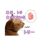猫のおっさん（個別スタンプ：32）