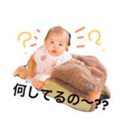 ぴよちんスタンプ（個別スタンプ：29）