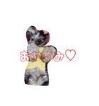 saapoon（個別スタンプ：1）