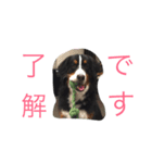 mojamoja momochan（個別スタンプ：2）