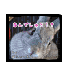 ゆりごろうさん動物王国（個別スタンプ：3）