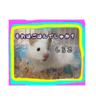ゆりごろうさん動物王国（個別スタンプ：6）