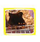 ゆりごろうさん動物王国（個別スタンプ：7）